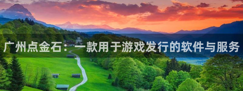 东莞pp电子信息科技有限公司：广州点金石：一款用于游戏发行的软件与服务