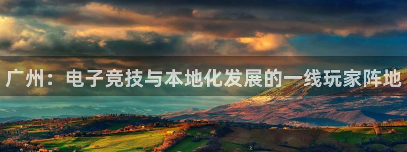 pp电子子经理人读后感