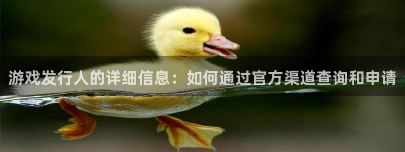 pp电子男装品牌