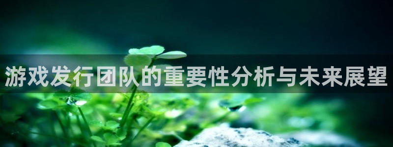 pp电子技术有限公司招聘