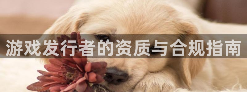 pp电子子赚话费