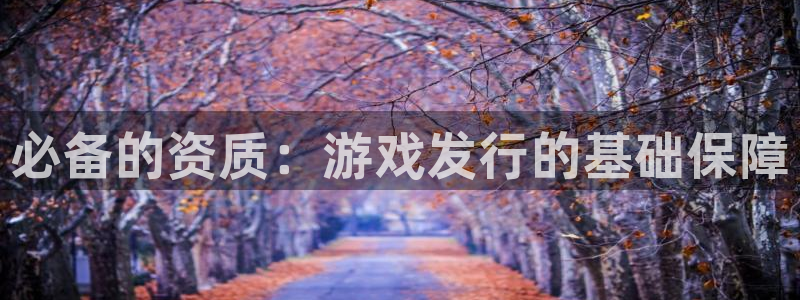 pp电子官网怎么注册账号：必备的资质：游戏发行的基础保障