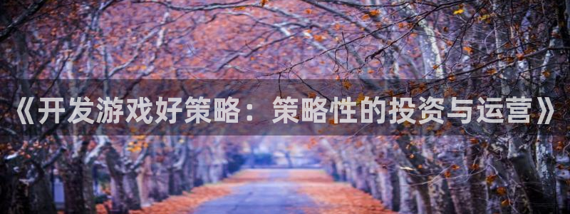 pp电子防水是几线品牌：《开发游戏好策略：策略性的投资与运营》