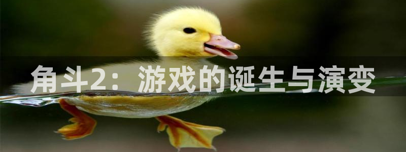 广州pp电子网络科技有限公司怎么样：角斗2：游戏的诞生与演变