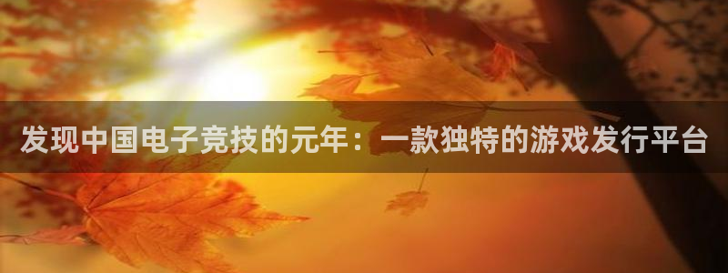 广东pp电子电商bruno：发现中国电子竞技的元年：一款独特的游戏发行平台