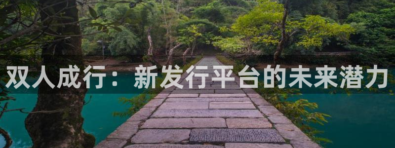 pp电子子文化创意做什么的：双人成行：新发行平台的未来潜力