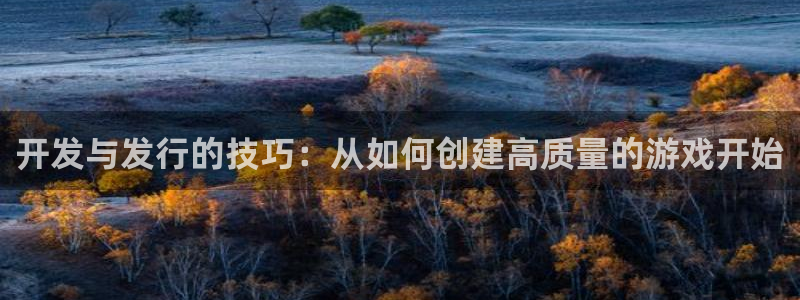 广州pp电子网络科技有限公司怎么样：开发与发行的技巧：从如何创建高质量的游戏开始