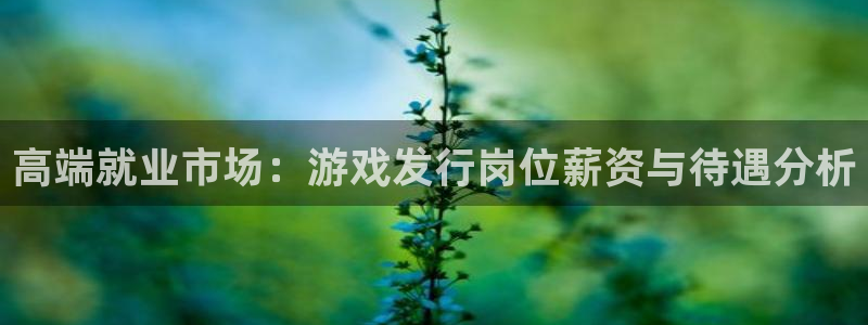 pp电子官网登录注册不了怎么办：高端就业市场：游戏发行岗位薪资与待遇分析