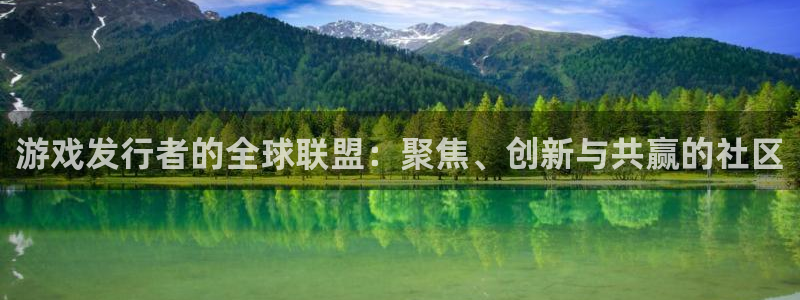 广州pp电子投资管理顾问有限公司