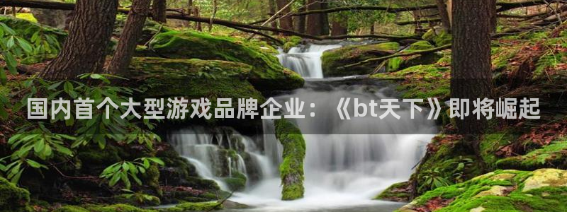 pp电子环境科技有限公司：国内首个大型游戏品牌企业：《bt天下》即将崛起